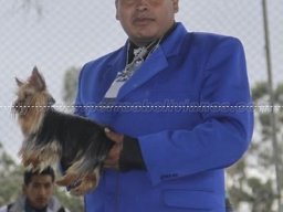 215955lapaz_nov_03